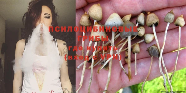 спиды Зеленокумск