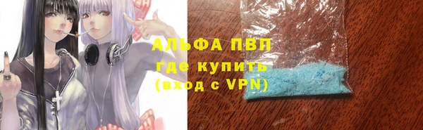 спиды Зеленокумск
