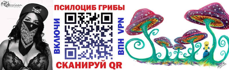 Купить  Катав-Ивановск  Галлюциногенные грибы MAGIC MUSHROOMS 